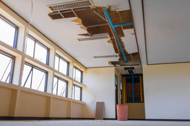Best Local water damage restoration  in Fife, WA