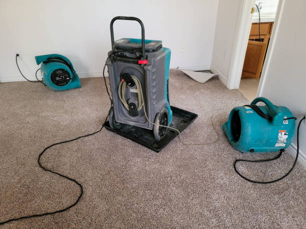 Best Carpet water damage restoration  in Fife, WA
