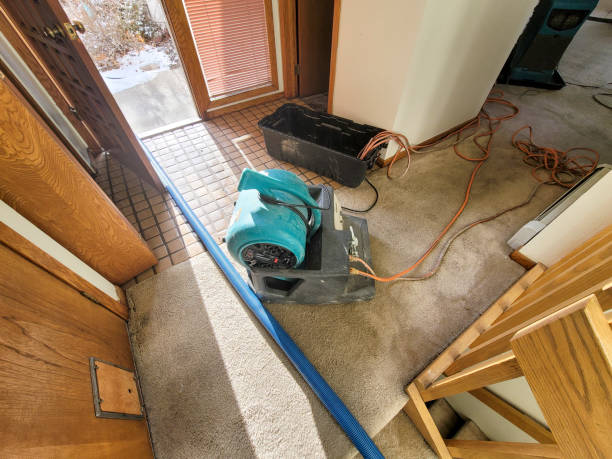Best Commercial water damage restoration  in Fife, WA