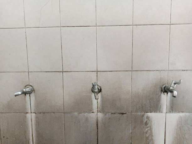 Best Emergency water damage restoration  in Fife, WA