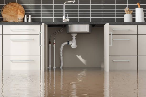  Fife, WA Water damage restoration Pros