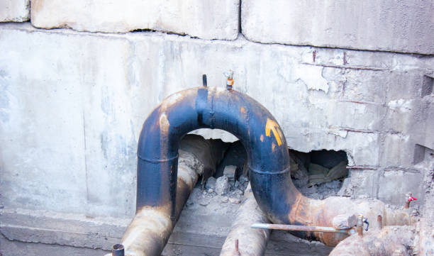 Best Basement water damage restoration  in Fife, WA